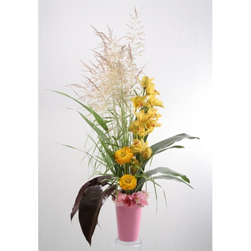 High Still Life - 36114