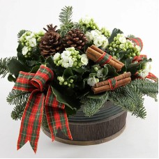 Fireleaf planting