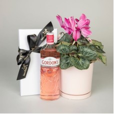 Pink Gin & Blooms