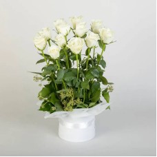 Rose Lover in White