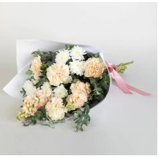 Traditional Carnations (Standard)