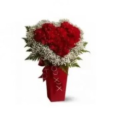 30 Red Carnations and White Babys Breath (Standard)
