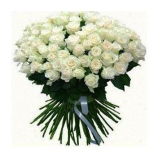 100 White Roses (Standard)