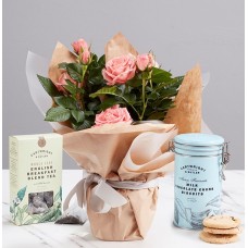 Afternoon Tea Rose Gift Set