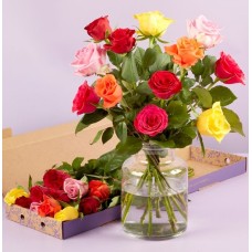 The Mixed Roses Letterbox