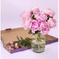 Perfect Peony June Letterbox of the Month