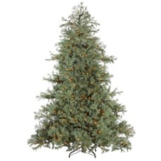 Tree 7.5' Blue Spruce 800 Warm White Incandescent Lights 1500 Tips 70"D