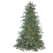 Tree 9' Blue Spruce 1200 Warm White Incandescent Lights 2255 Tips 77"D