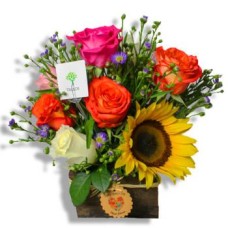 Variety of Roses and Sunflower