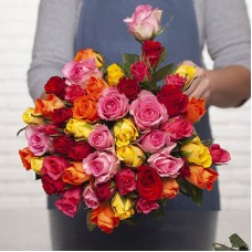 Harlequin (30 roses)