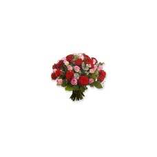Ideal Roses (Small)