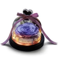 Purple Preserved Rose in Dome