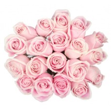Bouquet Of 15 Pink Roses Rosita Vendela
