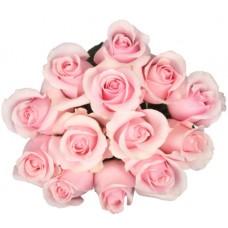 Bouquet Of 15 Pastel Pink Roses Titanik
