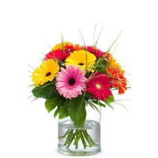 Germini Bouquet Joke (Small)