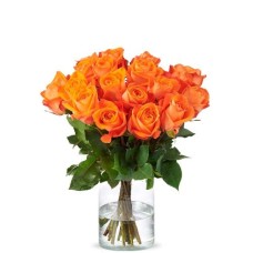 Orange roses (Small)