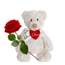 Red rose with bear