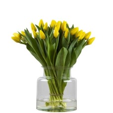 Bunch of yellow tulips (Small)