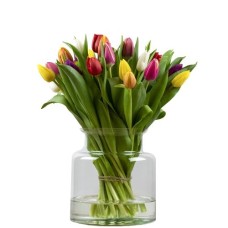Bunch of mixed tulips (Small)