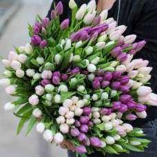 Large bunch of pastel tulips XL (Small)