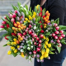 Large bunch of mixed tulips XL (Small)