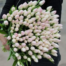 Large bunch of pink tulips XL (Small)