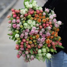 Large bunch of mixed double tulips XL (Small)