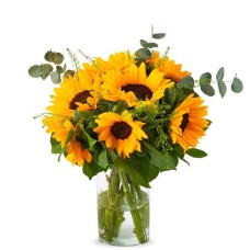 Sunshine at home (Small)