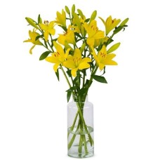 Lilies - Yellow Lilies (Small)