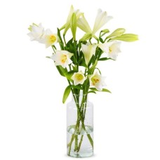Lilies - White Heaven Lilies (Small)