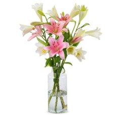 Lilies - Sweet mix (Small)