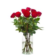 Beautiful Madam Red roses (Small)