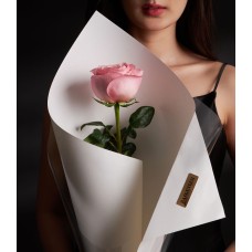 Sweet Romance: Single Pink X-Pression Premium Rose Bouquet