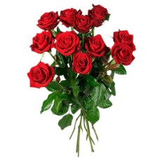 A dozen roses