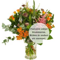 Foristen's design of the season
