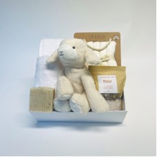 THE NEW BABY GIFT BOX