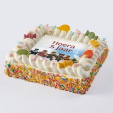 Roblox cake (8 people)