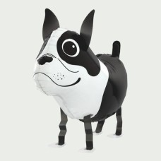 Walking balloon Dog