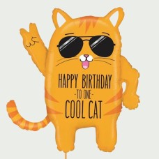 Big Happy birthday cat