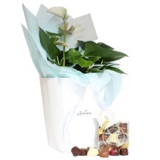 Luxurious Flowers And Chocolate For All Occasions