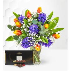 Hyacinth & Tulips with Chocs (Standard)