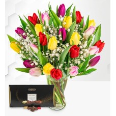Tulip Supreme with Chocs (Standard)