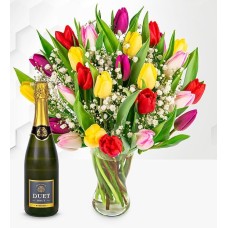 Tulip Supreme With Fizz (Standard)