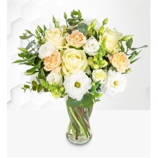 Ivory Harmony (Standard)