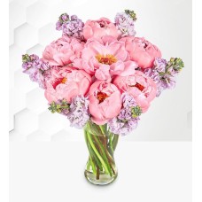 Paradise Peonies (Standard)