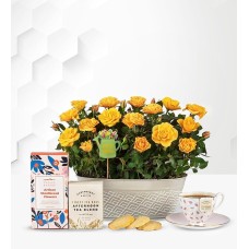 Delightful Roses Gift