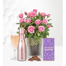 Summer Luxury Pink Rose Gift