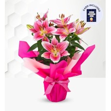 Dad's Oriental Lily & Card