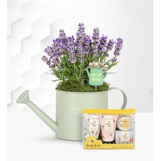 Summer Lavender Pamper Gift