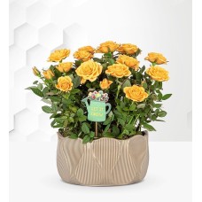 Luxury Summer Rose Bowl